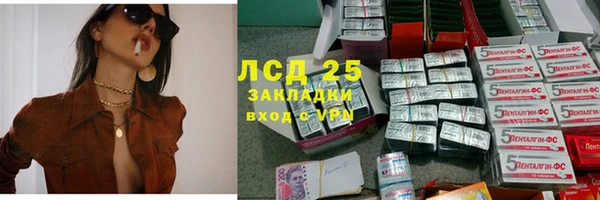 ГАЛЛЮЦИНОГЕННЫЕ ГРИБЫ Аркадак