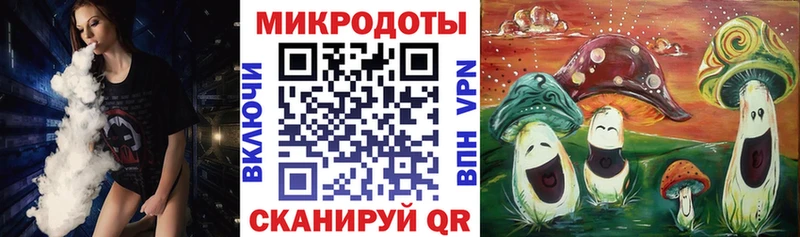Купить закладки  Ковров  Галлюциногенные грибы мицелий 
